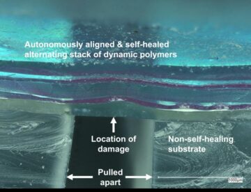Layers of self-healing electronic skin realign autonomously when cut