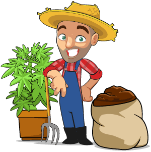 outdoor cannabis grower