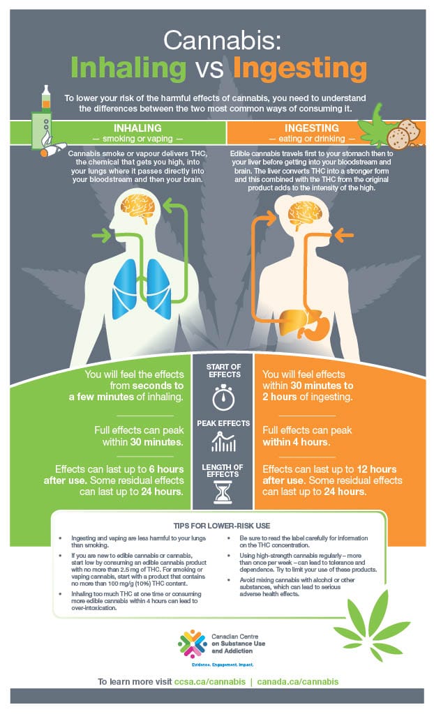 infografik om forskellen mellem indånding og indtagelse af cannabis