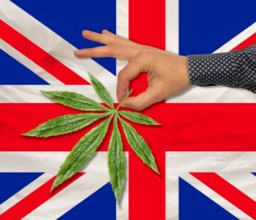 Medyczna marihuana w Wielkiej Brytanii? - Co musisz dziś wiedzieć?