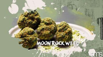 Moon Rock Weed: Kelezatan Utama untuk Cannabis Gourmands
