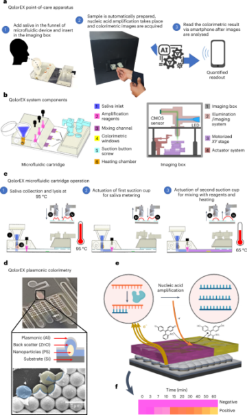 Nanoplasmonic amplification in microfluidics enables accelerated colorimetric quantification of nucleic acid biomarkers from pathogens - Nature Nanotechnology