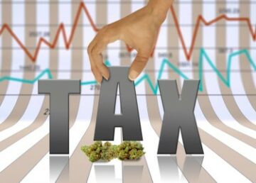 Geen omzetbelasting meer op cannabis - een slimme manier om de illegale markt te bestrijden, zegt Manitoba