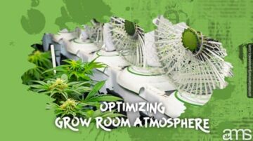 Ottimizzare l'atmosfera della grow room: importanza della ventilazione per la marijuana