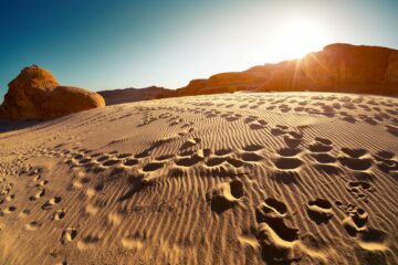 최근 팟캐스트는 책임감 있는 준설이 어떻게 사막을 다시 녹일 수 있는지 탐구합니다 | 엔비로텍