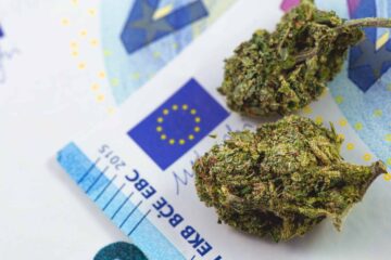 Un rapport récent révèle que le cannabis est la substance la plus consommée en Europe