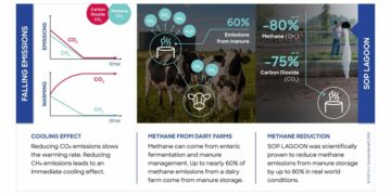 Revolucionando la sustentabilidad de los productos lácteos: reduciendo las emisiones de metano en un 80 %