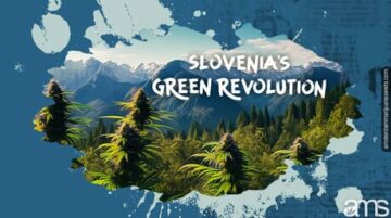 Revolusi Hijau Slovenia: Pengembaraan Ganja | AMS