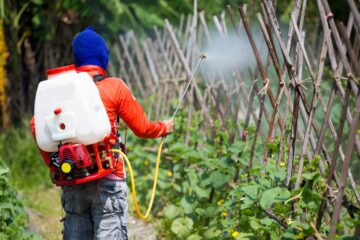 Studie veelbelovend voor SERS-detectie van pesticiden bij lage concentraties | Envirotec