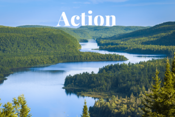 Hållbara skogsbruksmetoder för att bekämpa avskogning i Kanada