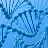 Synteettinen DNA voisi auttaa tutkijoita muokkaamaan geenejä ja luomaan uusia biopolttoaineita