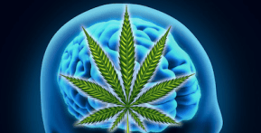 Benefits of Medical Cannabis for Epilepsy