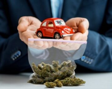 Vuoi risparmiare $ 22 per conducente sui premi dell'assicurazione auto? Legalizzare la cannabis nel tuo stato afferma un nuovo studio