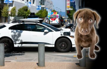 מכונית בנהיגה עצמית של Waymo הורגת כלב בסן פרנסיסקו