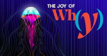 Чого можуть навчити нас медузи про динаміку рідини? | Журнал Quanta
