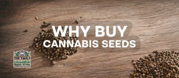 ¿Por qué comprar semillas de cannabis?