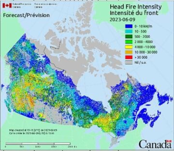 Чи канадські лісові пожежі зруйнують світовий вуглецевий бюджет?
