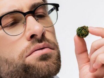 En Stoner's Guide for å slutte med cannabis - vent, hva? Hvorfor ville du gjort det?