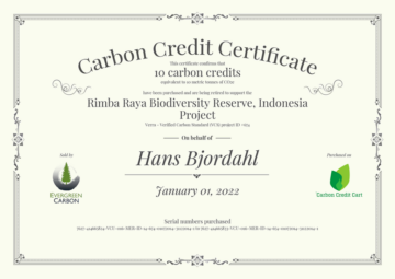 Анатомия сертификата на тележку с углеродным кредитом - EcoSoul