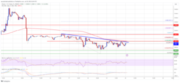 Bitcoin Price Could Restart Increase As The Bears Lose Steam