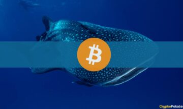 A Bitcoin Whale egyenlege elérte a legnagyobb havi csökkenést: Glassnode