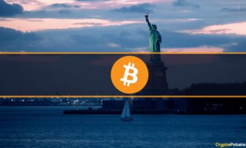 Bitcoin bo letos dosegel svoj ATH v višini 69,000 $: verjame 25 % Američanov (anketa) – CryptoInfoNet