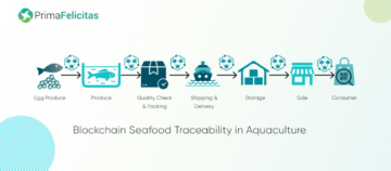 Blockchain-sporbarhetssystem i forsyningskjeden for akvakultur