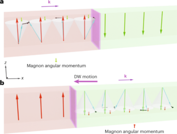 Coherent spin waves driving domain wall motion in insulators - Nature Nanotechnology
