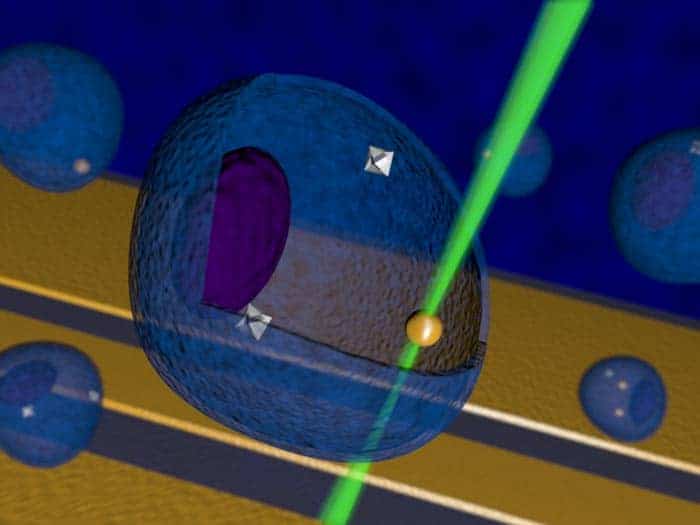 Artist's representation of nanoscale temperature control inside a living cell using diamond nanocrystals