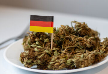 Legge tedesca sulla cannabis