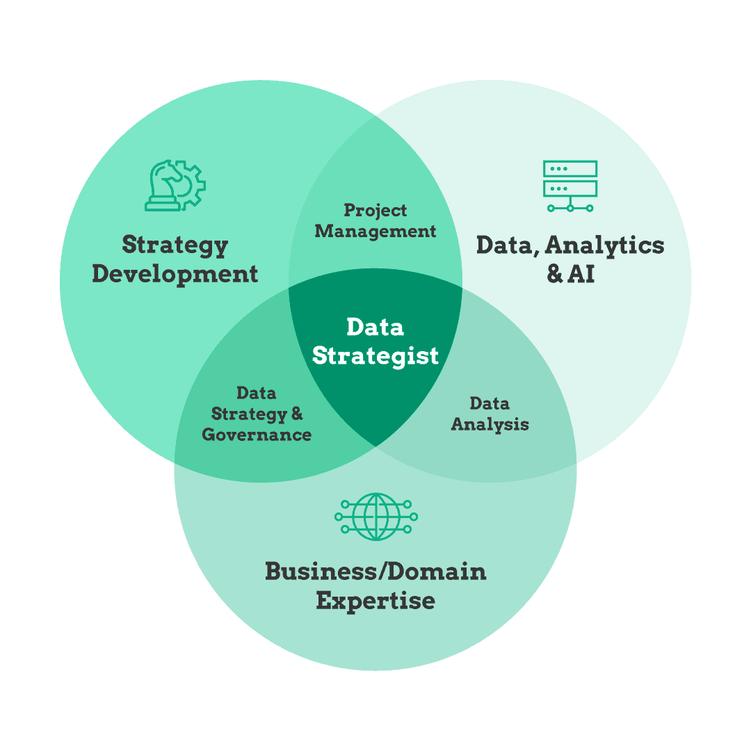 What is Data Strategist? 