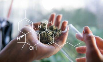 Come ridurre l'impronta di carbonio della marijuana