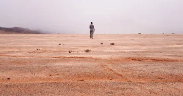 I en heftig ørken viser mikrobe 'skorper' hvordan livet temmet landet | Quanta Magazine