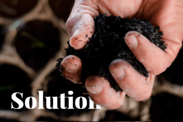 Wir stellen vor: Biokohle: eine neue innovative Lösung zur Kohlenstoffspeicherung