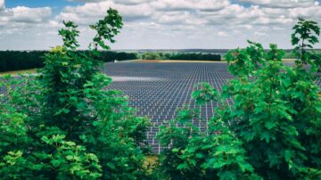 Low Carbon obtient un investissement historique de MassMutual pour stimuler la croissance des énergies renouvelables - 1 | Faible teneur en carbone