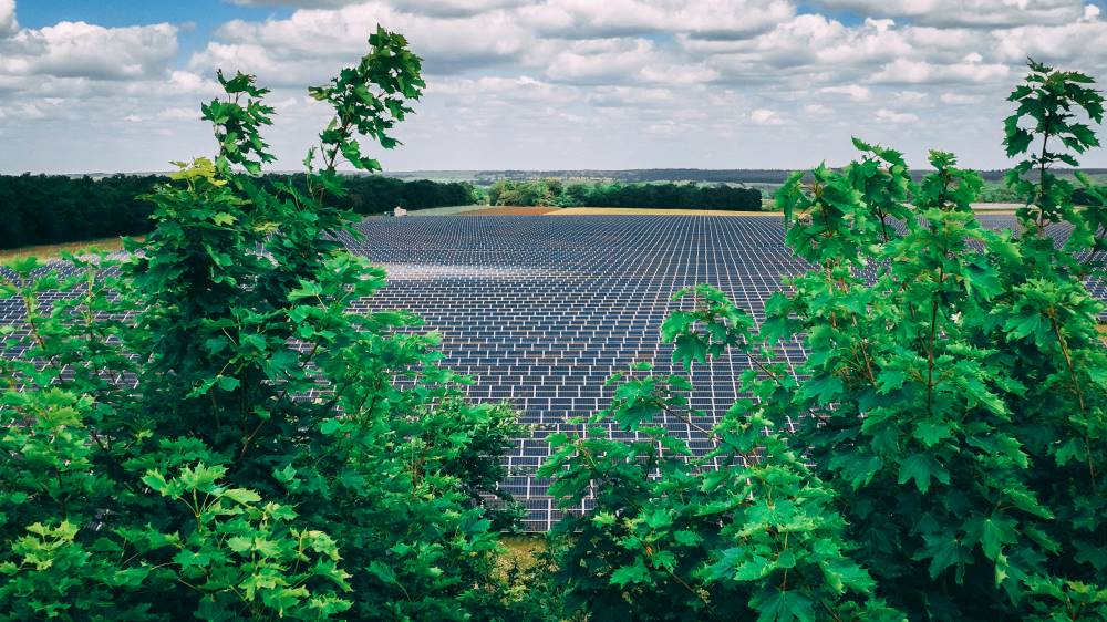 Low Carbon secures landmark investment from MassMutual to drive renewables growth - 1 | Low Carbon