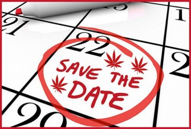 CANNABIS LEGALIZATION WILL BE IN ...