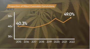 Marijuana Media на 95bFM: Манаватия и Матарики, и наши законы о наркотиках по-прежнему расистские. Кроме того, «Зеленые» объявляют о новой политике в отношении каннабиса – Связь с программой медицинской марихуаны