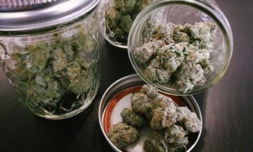 马里兰州开始合法销售大麻