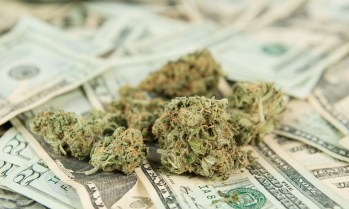 Mastercard: No Debit for Cannabis