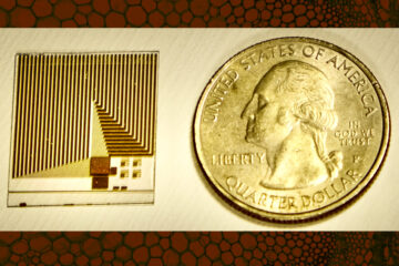 Sensor transistor graphene baru meniru fungsi membran sel