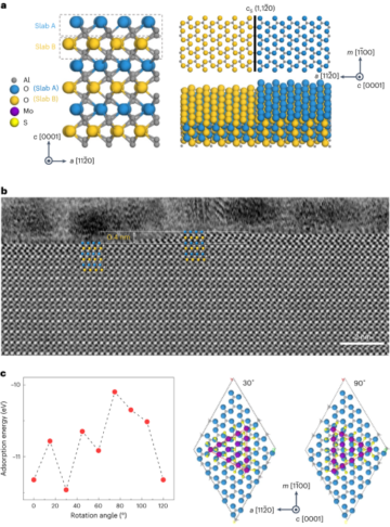 Орієнтоване латеральне зростання двовимірних матеріалів на сапфірі c-площини - Nature Nanotechnology