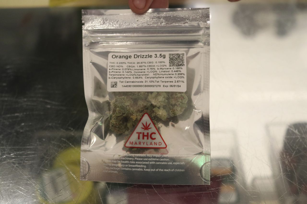 Marijuana in Maryland