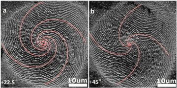 Secrets of nanospiral formation revealed by machine learning – Physics World