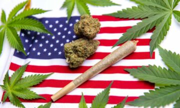 Sette consigli sulla marijuana da goderti il ​​4 luglio