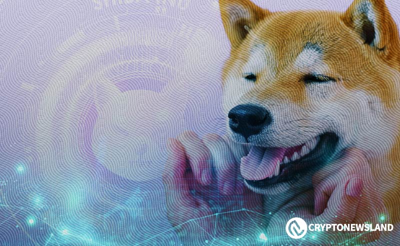 Shiba Inu's Bone, Minting Remaining Supply and Contract Renouncement Explained