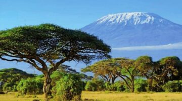 Projekti ogljičnih kreditov v Tanzaniji privabijo 20 milijard USD od podjetij