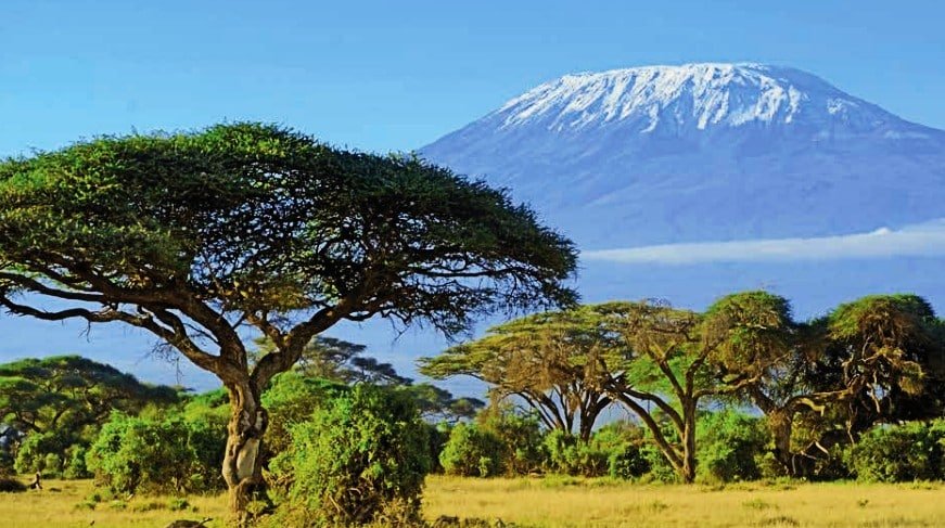 Tanzania Carbon Credit Projects Attract $20B from Companies