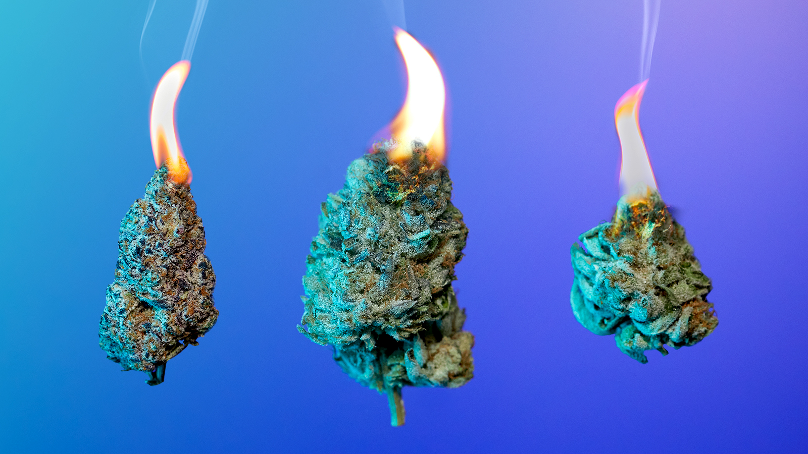 The 8 best fire strains