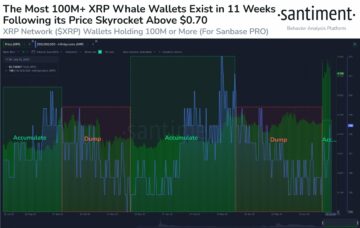 Analiza ceny XRP: flaga byka miga, gdy wieloryby osiągają nowe maksimum